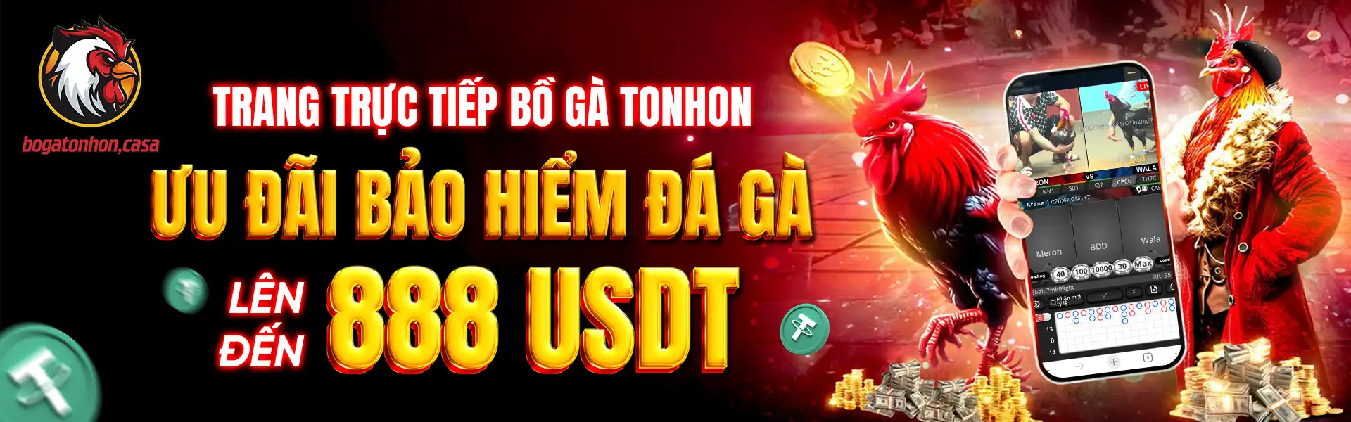 Banner 1 Bồ Gà Tonhon