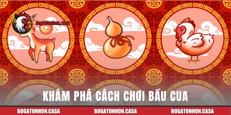 Khám phá cách chơi bầu cua tại Bồ Gà Tonhon dễ hiểu