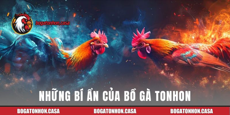 Những bí ẩn cần được giải đáp của bồ gà Tonhon