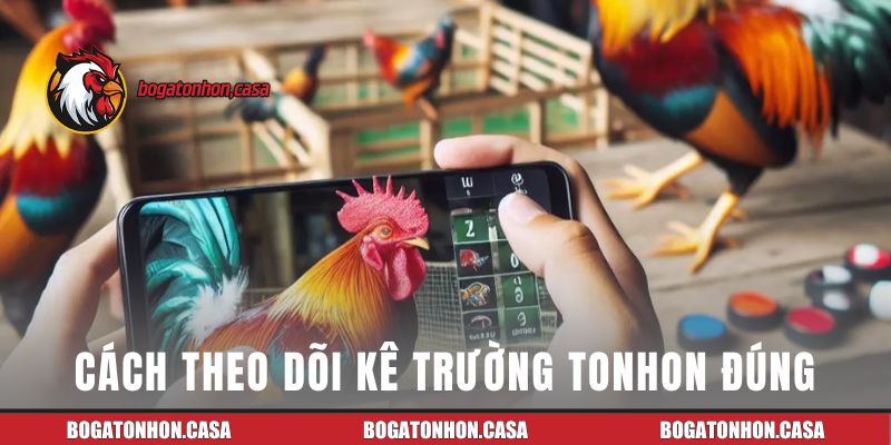 Cách theo dõi kê trường Tonhon đúng quy trình
