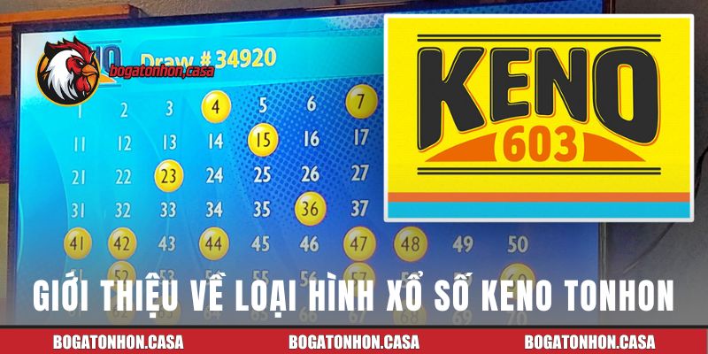 Giới thiệu về loại hình Xổ số Keno Tonhon