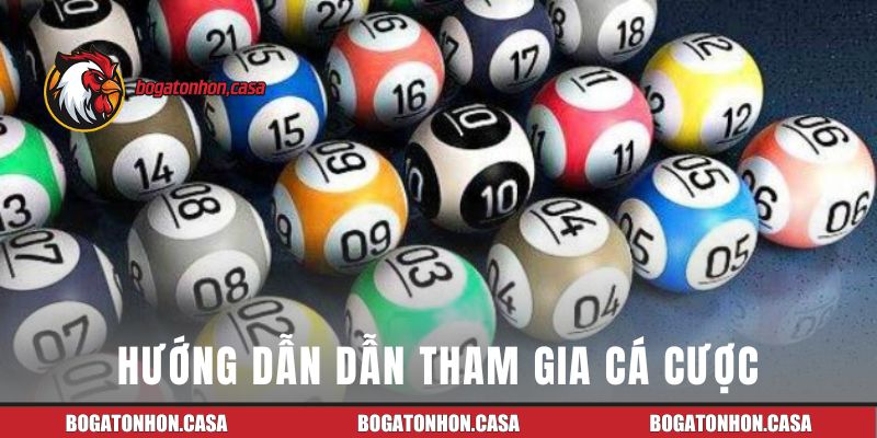 Hướng dẫn dẫn tham gia cá cược tại Tonhon