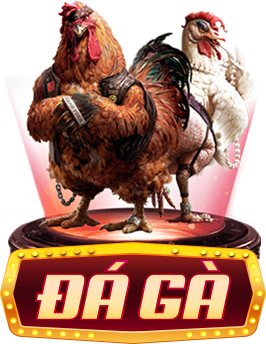 Đá gà