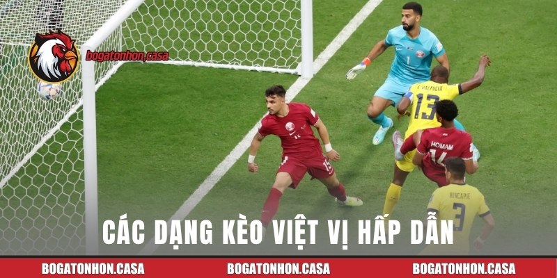 Các loại hình đa dạng tại Bồ Gà Tonhon trực tiếp