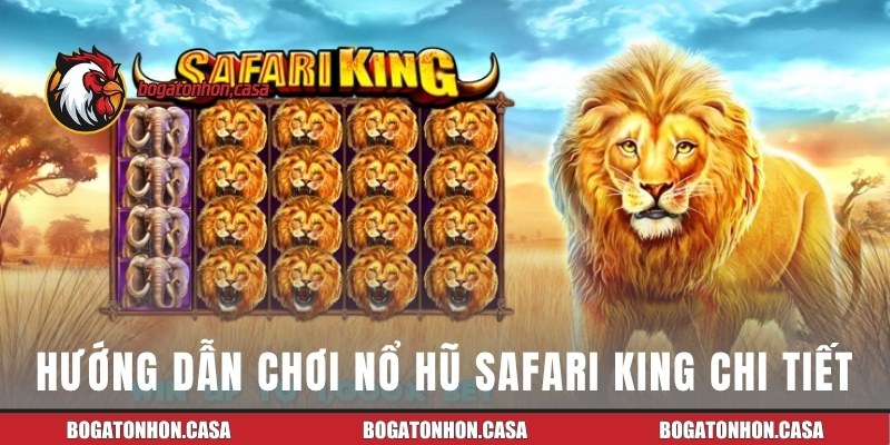 Cách chơi Safari King chi tiết nhất cho hội viên