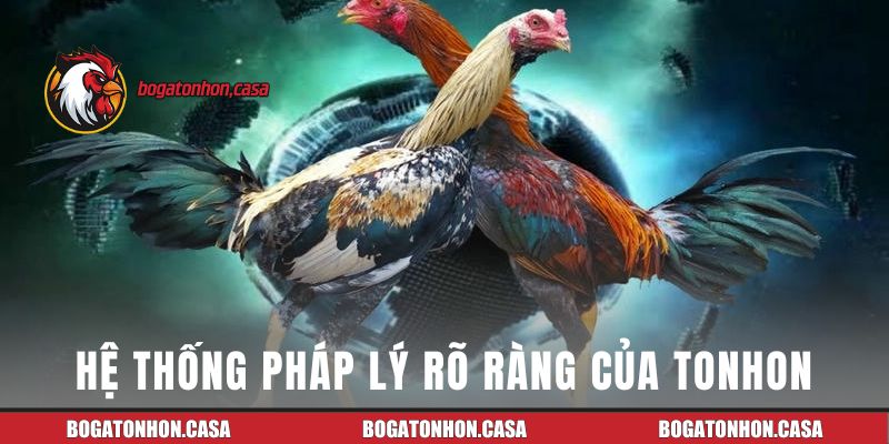 Hệ thống pháp lý rõ ràng của đá gà sới Tonhon