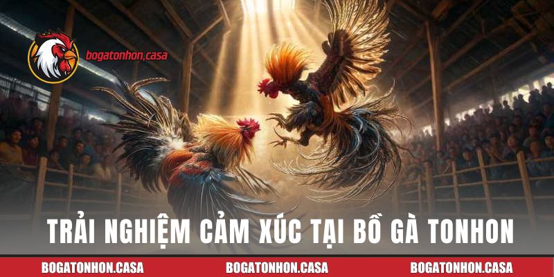 Những trải nghiệm cảm xúc tại bồ gà Tonhon