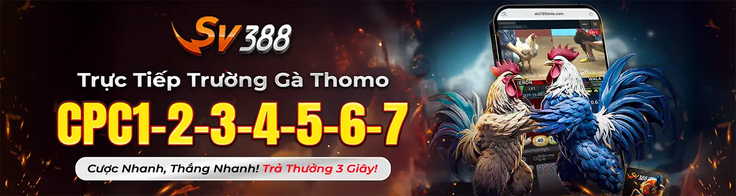 Banner trực tiếp trường gà Thomo Alo789